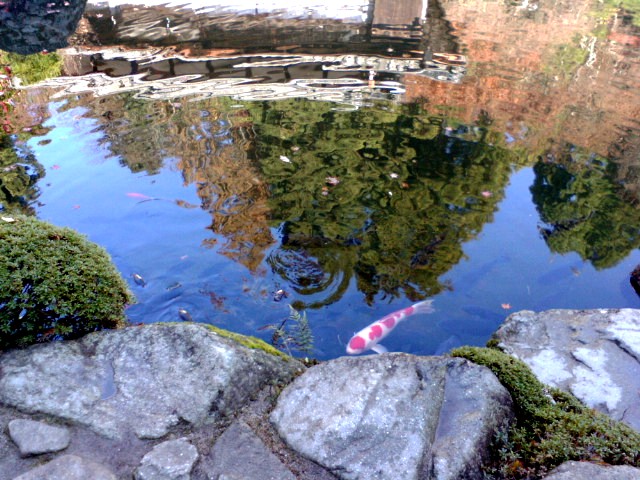 e0099212_2061112.jpg