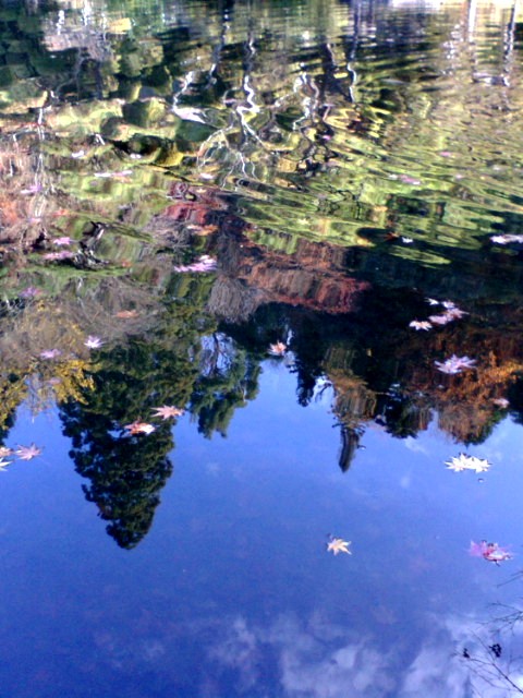 e0099212_2061844.jpg