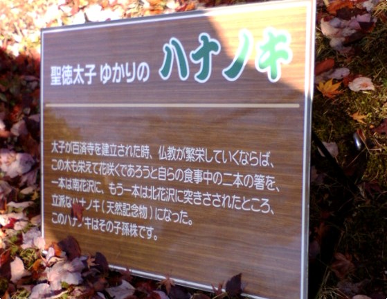 e0099212_2073576.jpg