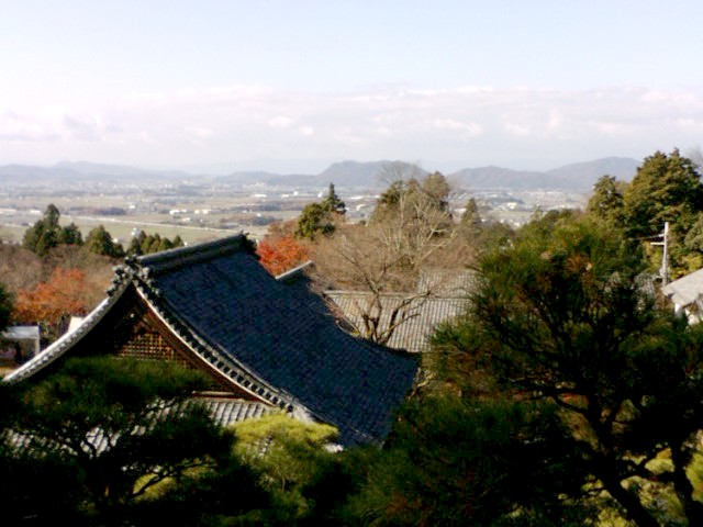 e0099212_2075331.jpg