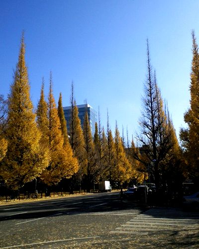a0037414_18232175.jpg