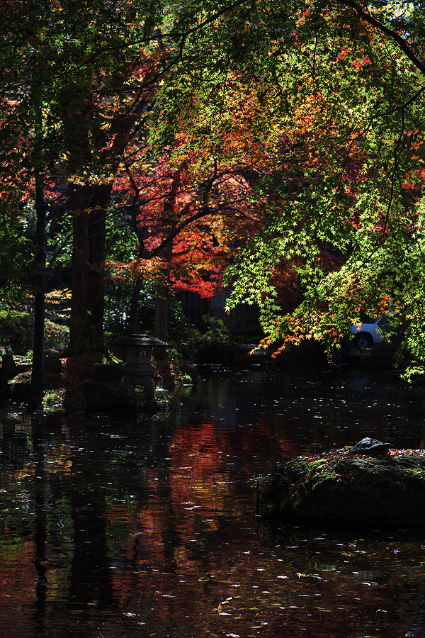 c0115616_6114919.jpg