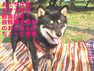 c0185516_21421273.jpg