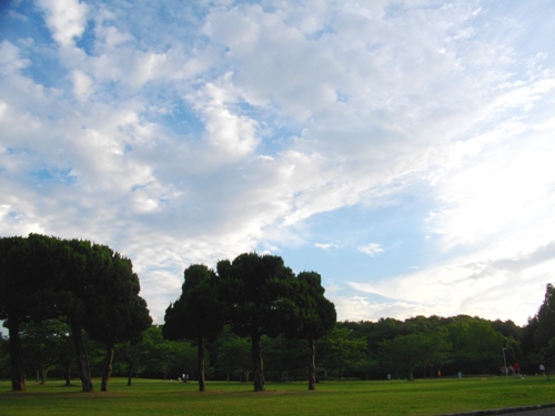 e0119017_2471253.jpg