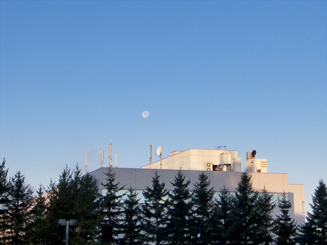b0085526_13452550.jpg