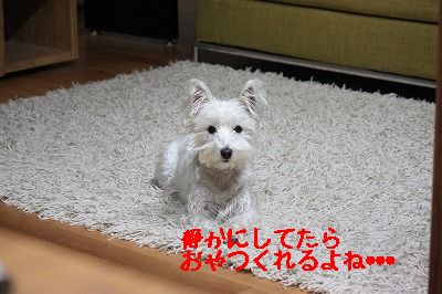 e0181928_21271890.jpg