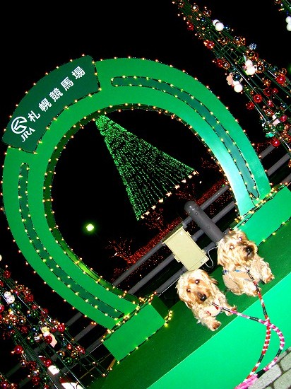 f0046128_23225674.jpg
