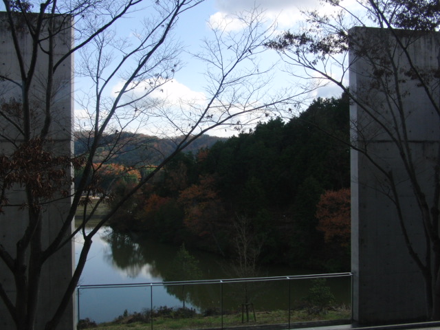 f0111128_0261331.jpg
