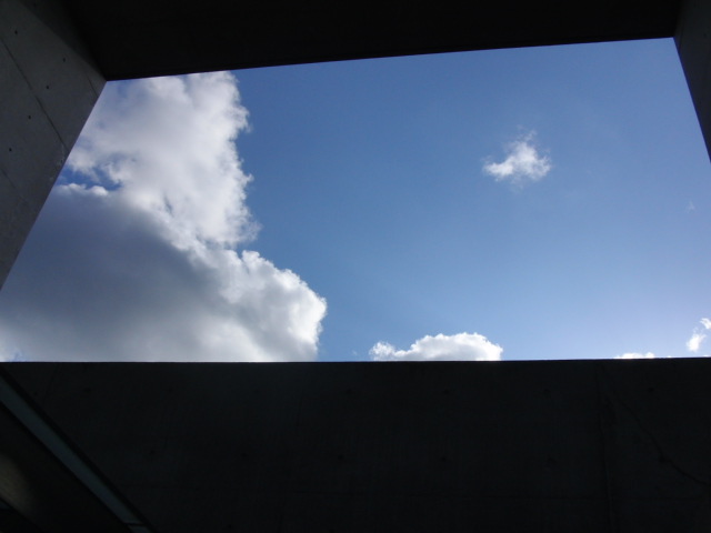 f0111128_0262937.jpg
