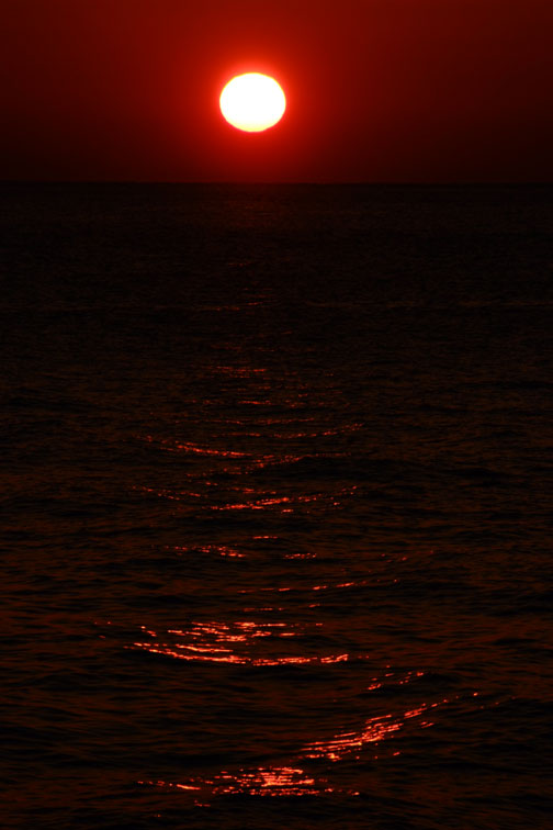 b0075541_134527.jpg