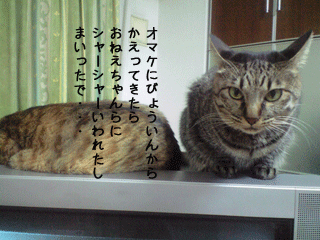 f0116546_00733.gif