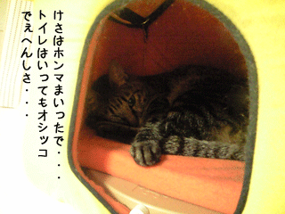 f0116546_23593047.gif