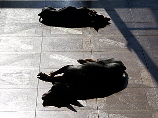 c0123149_20115116.jpg