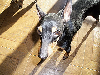 c0123149_2017219.jpg