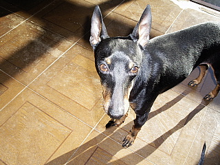 c0123149_20173945.jpg