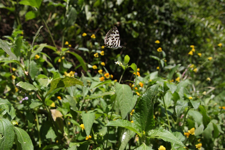 a0094850_20343747.jpg