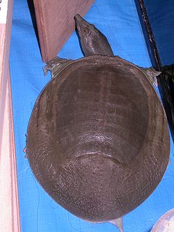 b0002156_1502349.jpg