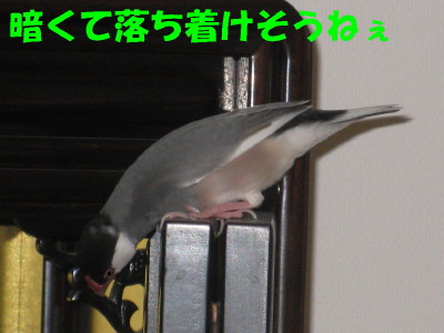 b0158061_20445696.jpg