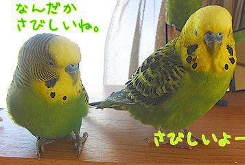 f0196665_23461772.jpg