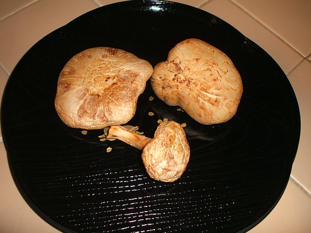 c0115366_20274777.jpg