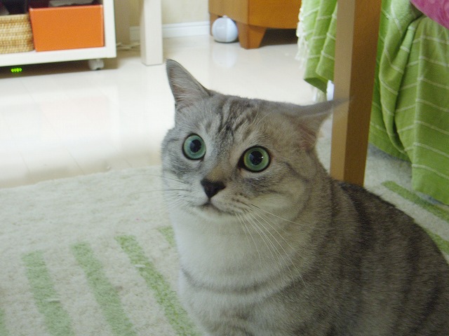 b0184969_22331012.jpg