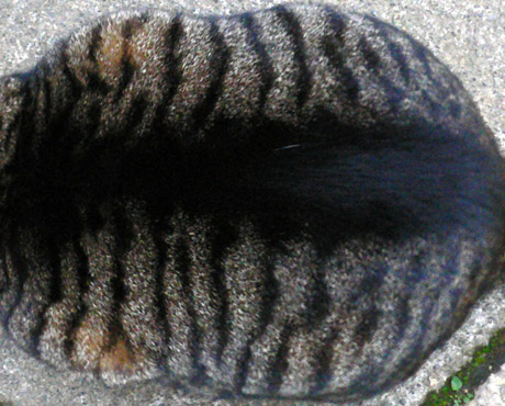 e0112077_6111117.jpg