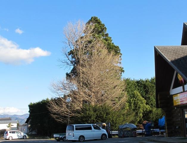 a0091680_17411550.jpg
