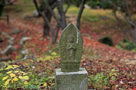 e0190885_20251334.jpg