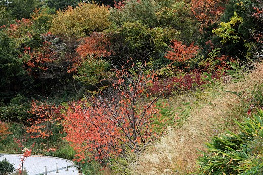 e0190885_2026759.jpg