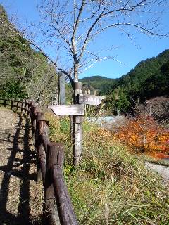 b0090890_2273782.jpg