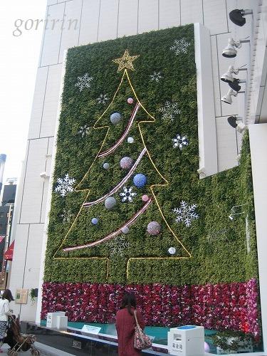 f0202291_10222291.jpg