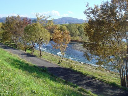 e0111793_1763373.jpg