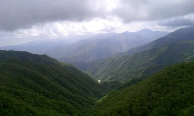 b0029694_1691193.jpg