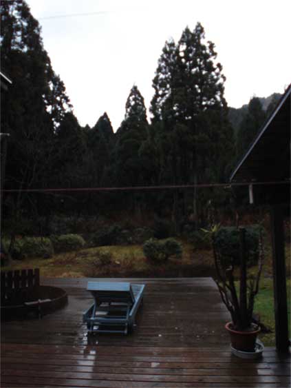 a0061599_71324.jpg