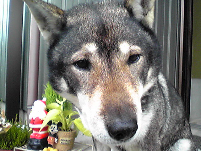 f0079202_11573161.jpg