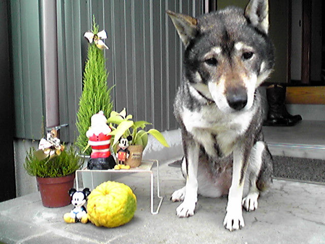 f0079202_11573192.jpg