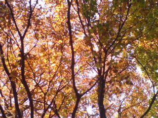 c0154206_23143033.jpg