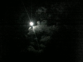 e0098908_21262398.jpg