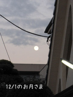 e0156015_1251547.jpg