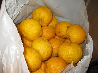 c0226317_19551350.jpg