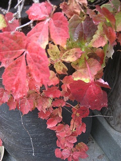 f0139520_2117872.jpg