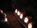f0139520_225595.jpg