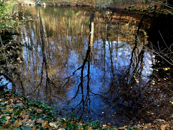 d0144121_6595346.jpg
