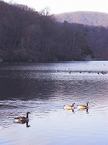 e0149425_18444763.jpg