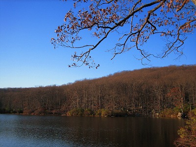 e0149425_18473811.jpg