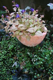 c0199728_064394.jpg