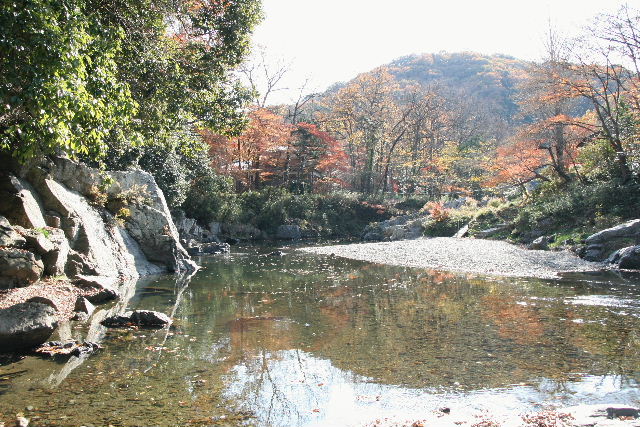 e0064133_9342640.jpg