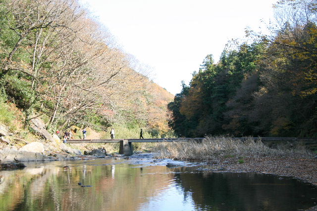 e0064133_9343322.jpg