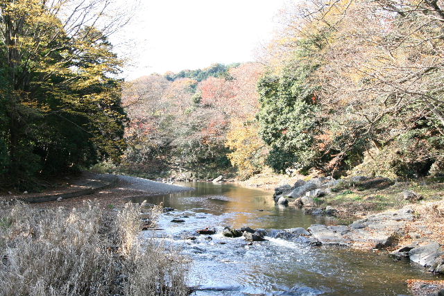 e0064133_9344138.jpg