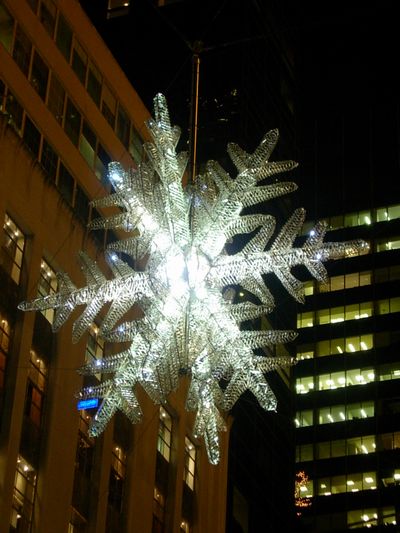 f0200433_4372892.jpg